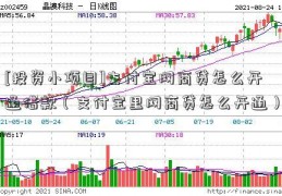 [投资小项目]支付宝网商贷怎么开通借款（支付宝里网商贷怎么开通）