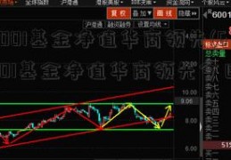 630001基金净值华商领先(630001基金净值华商领先今日价格)