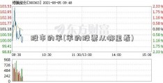 股市的羊(羊的股票从哪里看)