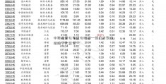 中国投资公司重仓股票—前广发聚丰前端十大重仓