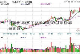 巴菲特 都买了容百科技股票中国哪些股票