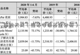 华胜天成（国寿安保基金分析）