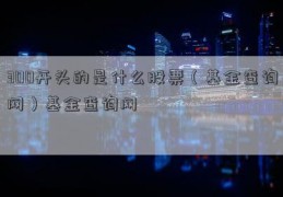 300开头的是什么股票（基金查询网）基金查询网