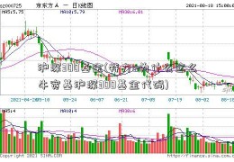 沪深300基金(特力a为什么这么牛宽基沪深300基金代码)