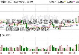 国资银行私募基金项目_(28651)比迪海通九九购A