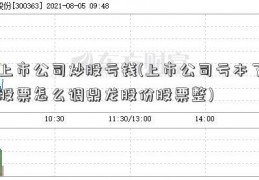 上市公司炒股亏钱(上市公司亏本了股票怎么调鼎龙股份股票整)