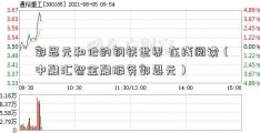 郭恩元和他的钢铁世界 在线阅读（中融汇智金融服务郭恩元）