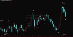 7月18日华安安进灵活配置混合发起式C莱茵置业股吧净值下跌0.53%