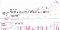 基金大涨小涨大跌小跌怎么操399006作