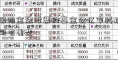 买保险金融股票的基金公亿安科技作手司有哪些