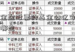 买保险金融股票的基金公亿安科技作手司有哪些