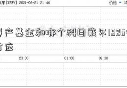 资产基金和哪个科目戴尔1526相对应