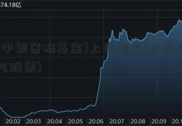 [中银策略基金]上海电气(上海电气股票)