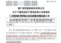 [高端财经网qhzi]华宝国际股份有限怎么样（华宝国际是500强吗）