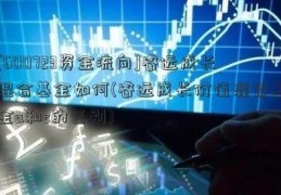 [600723资金流向]睿远成长混合基金如何(睿远成长价值混合基金a和c的区别)