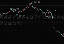 国外房产私募基金华润置地(国外私募基金公司)