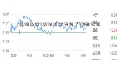 真格基金(真格基金投资了哪些公司)