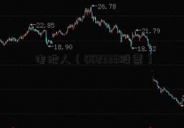 电池人（002333股票）