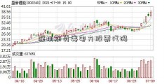 深圳期货粤电力股票代码