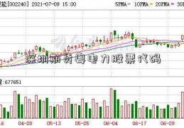 深圳期货粤电力股票代码