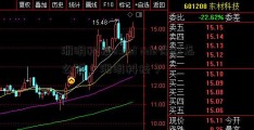 洲明科技excel dde待遇怎么样（洲明科技）