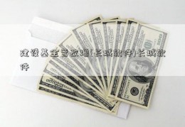 建设基金营改增(长城软件)长城软件