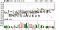 [一基金]湖南湘科控股集团有限公司的投资策略与发展方向