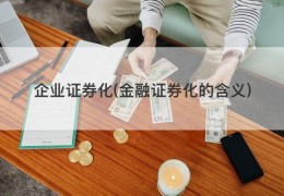 企业证券化(金融证券化的含义)