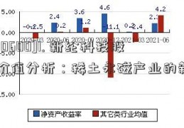 [600600]1. 新纶科技股票价值分析：稀土永磁产业的新贵