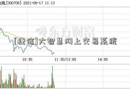 [捷信]大智慧网上交易系统