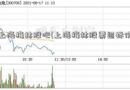 上海梅林股吧(上海梅林股票目标价)