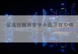 嘉亚仕同方实中小盘基金净值