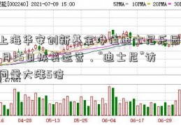 上海华安创新基金净值迪士尼乐园11月25日恢复运营，“迪士尼”访问量大涨5倍