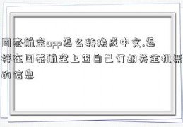 国泰航空app怎么转换成中文.怎样在国泰航空上查自己订胡关金机票的信息