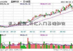 乱入视频_外汇入门基础知识