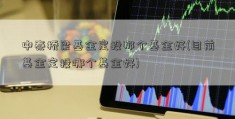 中泰桥梁基金定投那个基金好(目前基金定投哪个基金好)