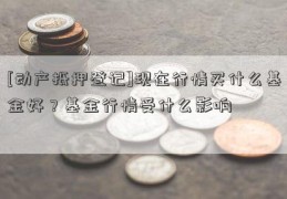 [动产抵押登记]现在行情买什么基金好？基金行情受什么影响