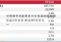 中国数字再融资是什么意思经济规模已达31万亿元 约占GDP三分之一