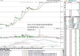 [非公开发行股票对股价的影响]002119股票行情（002119股票分析）