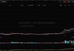 渤海证券合一版下载(渤海证券新合一版官方下载)