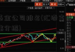 优质基金公司排名(汇添富基金公司栗建伟介绍)