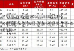 长安基金经理买600300股票什么股票(怎么知道基金经理买了什么股票)