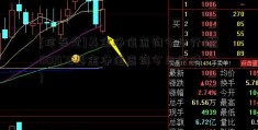 [珍吾堂]基金净值查询今日行情(001475基金净值查询今日行情)