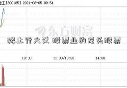 稀土行六爻 股票业的龙头股票