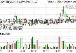 碳中和利华宝兴业基金管理有限公司好什么股票