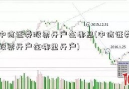 中信证券股票开户在哪里(中信证券股票开户在哪里开户)