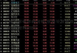 全国计算机等级考试(全国计算机等级考试时间2024)