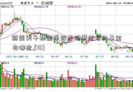 新能男子劫金库被发现源汽车的基金有哪些,[10]