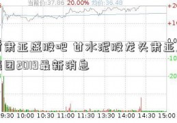 甘肃亚盛股吧 甘水泥股龙头肃亚盛集团2019最新消息