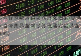 事业单位提发展基金怎么做账(事业单位专用基金可以补提易方达基金公司吗)